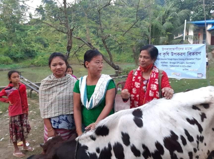 Distributed 16 Heifer (Bakna Calf) among the beneficiaries on 19 November 2020  under 