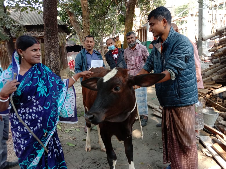  Milking Cow received the beneficiaries  at Kaliakoir Upazilia, Gazipur on 21 December 2021